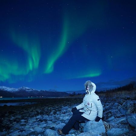 Arctic Rooms Rektor Tromsø Kültér fotó