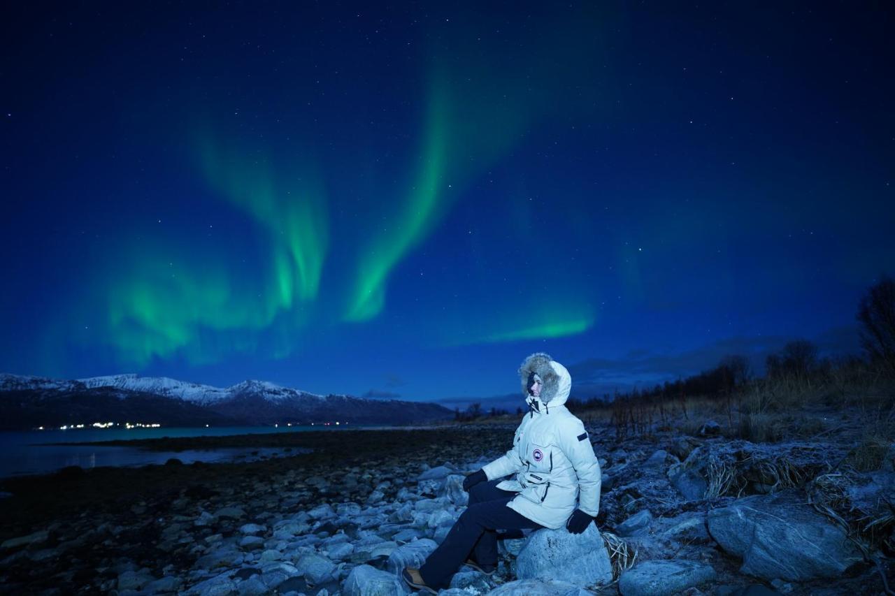 Arctic Rooms Rektor Tromsø Kültér fotó